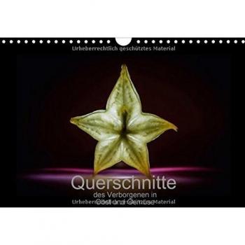 Querschnitte des Verborgenen in Obst und Gemüse (Wandkalender immerwährend DIN A4 quer)