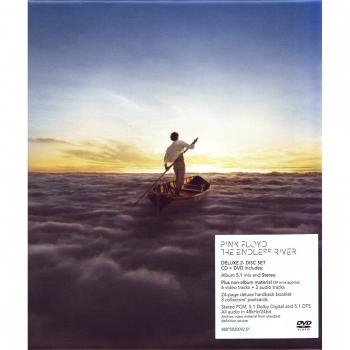 Endless River