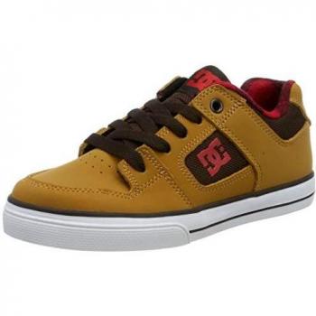 DC Shoes Pure SE