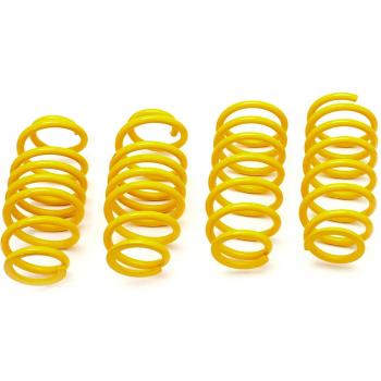 ST Suspension Lowering Kit 28240050