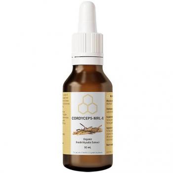 Cordyceps MRL: Análisis Micología