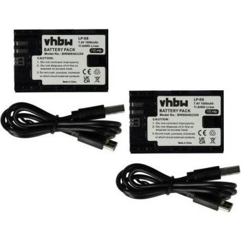 Pile ricaricabili compatibili Canon EOS 80D, R5, R6 con uscita USB-C