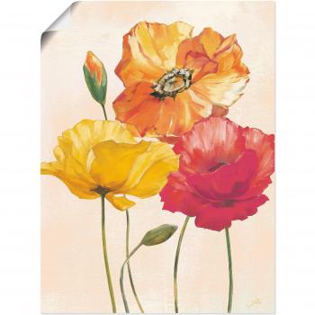 Leinwandbild »Farbenfrohe Mohnblumen I«