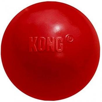 Kong Puppy Ball