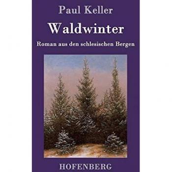 Waldwinter: Roman aus den schlesischen Bergen