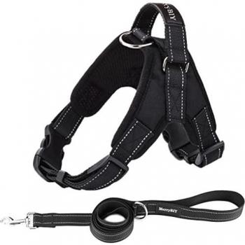 SafePaws Atmungsaktiv-Harness für mittelgroße Hunde