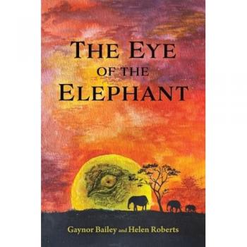 The Eye of the Elephant: And What Do You See?
