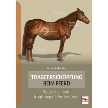 Trageerschöpfung beim Pferd