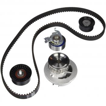 INA 530 0443 30 Timing Belt and Water Pump Assembly