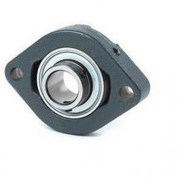 INA Cojinete de Brida 20mm GLCTEY20
