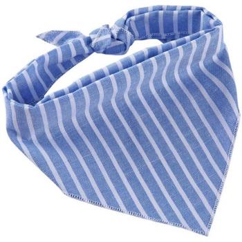 Legendog Cartoon Dog Bandana