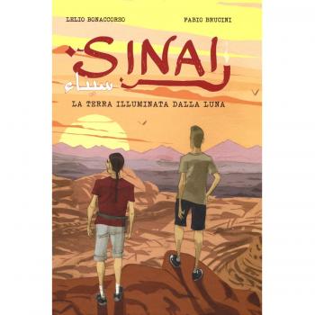 Sinai. La terra illuminata dalla luna