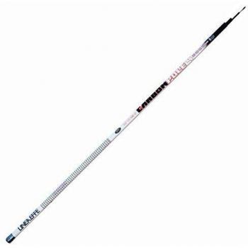 Caña de Pesca Lineaeffe Telescópica Carbon 4 m