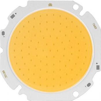 Luz Fría y Cálida COB 30W/50W para Reflectores Exteriores