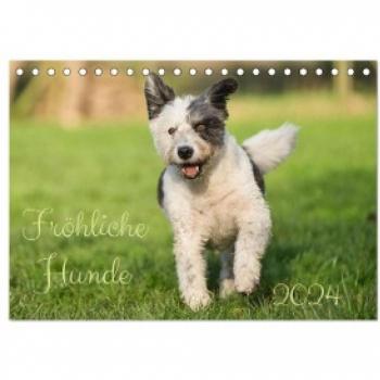 Fröhliche Hunde (Tischkalender 2024 DIN A5 quer) CALVENDO Monatskalender