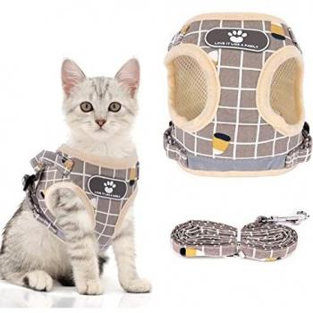 Escape Proof Cat and Dog Harness with Comfort Features