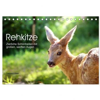 Rehkitze zierliche Schönheiten mit großen sanften Augen (Tischkalender 2025 DIN A5 quer) CALVENDO Monatskalender