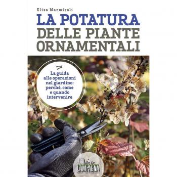 La potatura delle piante ornamentali
