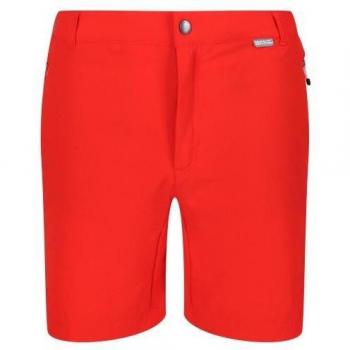 Pantaloncini Regatta Mountain II maschili