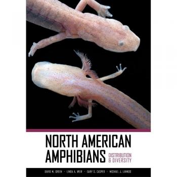 North American Amphibians, David Green,  Hardback