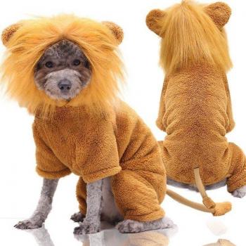 Vestido de Otoño e Invierno para Mascotas