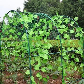 4 Sizes Garden Mesh Trellis for Climbing Plants