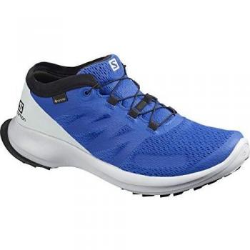 SALOMON Zapatillas de Running Sense Flow GTX, Azul, 44 2/3 EU