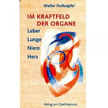 Walter Holtzapfel Im Kraftfeld Der Organe: Leber, Lunge, Niere, Herz