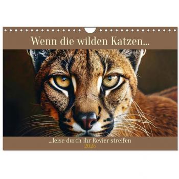 Wenn die wilden Katzen leise durch ihr Revier streifen (Wandkalender 2025 DIN A4 quer), CALVENDO Monatskalender