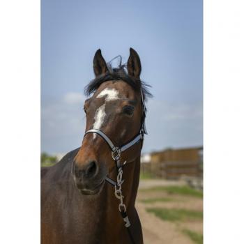 Norton “Nylon Soft” Black Head Collar – Cob Line