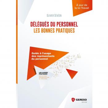DELEGUES DU PERSONNEL  LES BONNES PRATIQUES: GUIDE A L USAGE DES REPRESENTANTS DU PERSONNEL (LES GUIDES PRATIQUES)