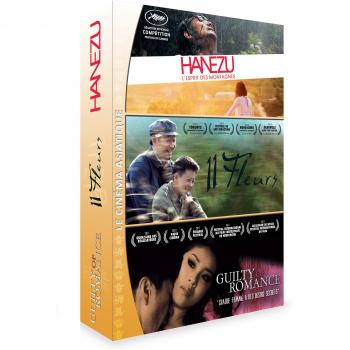 Pack Cinéma Asiatique – Trois Vidéos en DVD