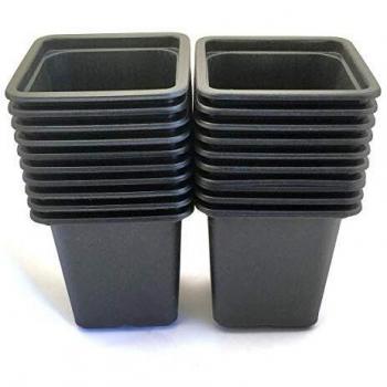 Vasi Vilmorin Quadrati 7 cm – Kit 20 pezzi