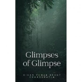 Glimpses of Glimpse