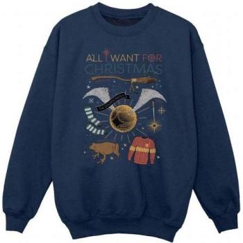 Harry Potter All I Want For Christmas Sweatshirt