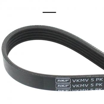 SKF Correia trapezoidal 5PK870 estriada