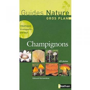 Champignons