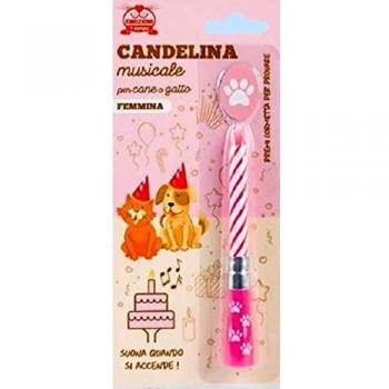 Candelina Musicale Rosa