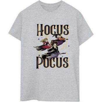 Damesvlieger Shirts in Lichtgrijs