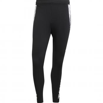Arsenal 2024/25 Men's Black Training Pants