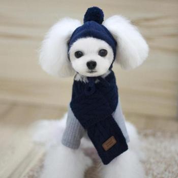 Knitted Dog Hat and Scarf