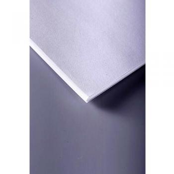 25F. ESQUISSE BLANC 50X65 90G BLANC