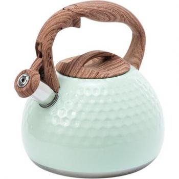 2.8L Stainless Steel Whistling Kettle with Hammered Texture