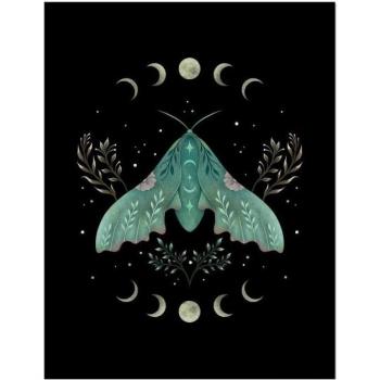Póster de Polilla Luna con Marco 45cm