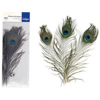 Pack de 3 Plumes de Paon