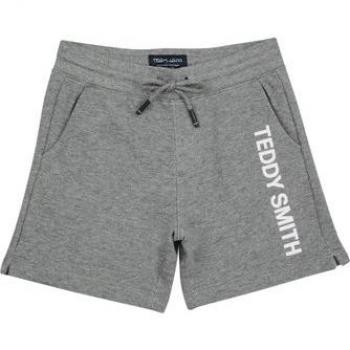 Teddy Smith S-MICKAEL JR Kids' Grey Shorts