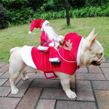 Chaqueta de Ciervo para Mascotas