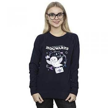 Women's Hogwarts Owl Letter Swag Sweater