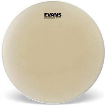 Peau de caisse claire Evans S14GEN20 transparente 14