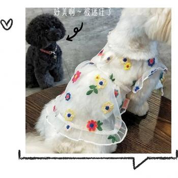 Falda Ecléctica de Gasa Transparente para Oso de Peluche